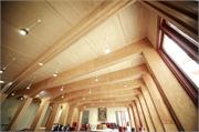 Candlebark Library 3